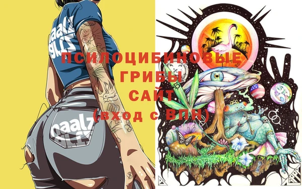 дживик Алзамай