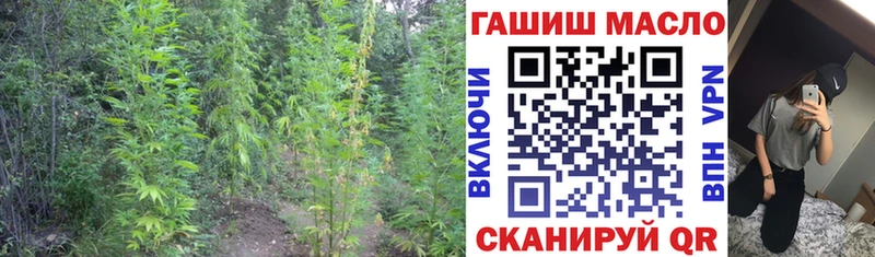 Дистиллят ТГК гашишное масло  Боготол 